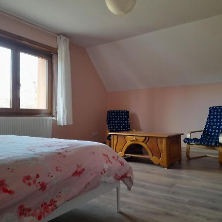 Appart 4 Pers Refait Neuf 90M2 Avec Balcon Baldenheim Exteriör bild